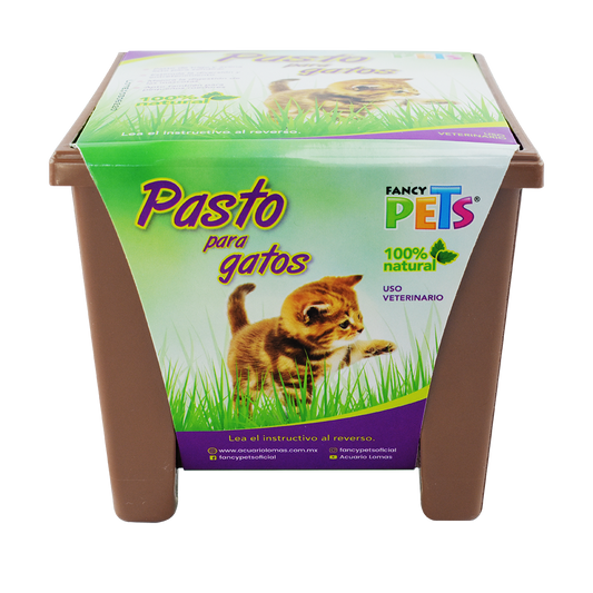 Pasto para gatos